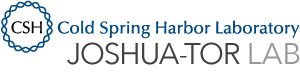 Joshua-Tor-Lab Joshua-Tor Lab